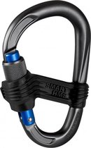 Mammut Smart HMS Karabiner Grijs Extra veilige karabiner   Screw Gate Silver