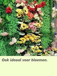 Afbeelding nummer  10