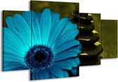 GroepArt - Schilderij -  Bloem - Blauw, Zwart, Groen - 160x90cm 4Luik - Schilderij Op Canvas - Foto Op Canvas
