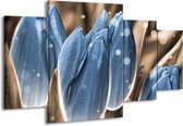 GroepArt - Schilderij -  Tulp - Blauw, Grijs - 160x90cm 4Luik - Schilderij Op Canvas - Foto Op Canvas
