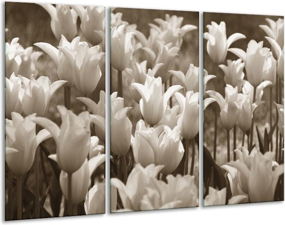 huurling Exclusief gevaarlijk GroepArt - Schilderij - Tulpen, Bloemen - Sepia - 120x80cm 3Luik - 6000+  Schilderijen... | bol.com
