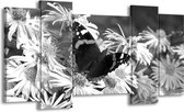 GroepArt - Schilderij - Bloemen, Vlinder - Zwart, Wit, Grijs - 120x65cm 5Luik - Foto Op Canvas - GroepArt 6000+ Schilderijen 0p Canvas Art Collectie - Wanddecoratie