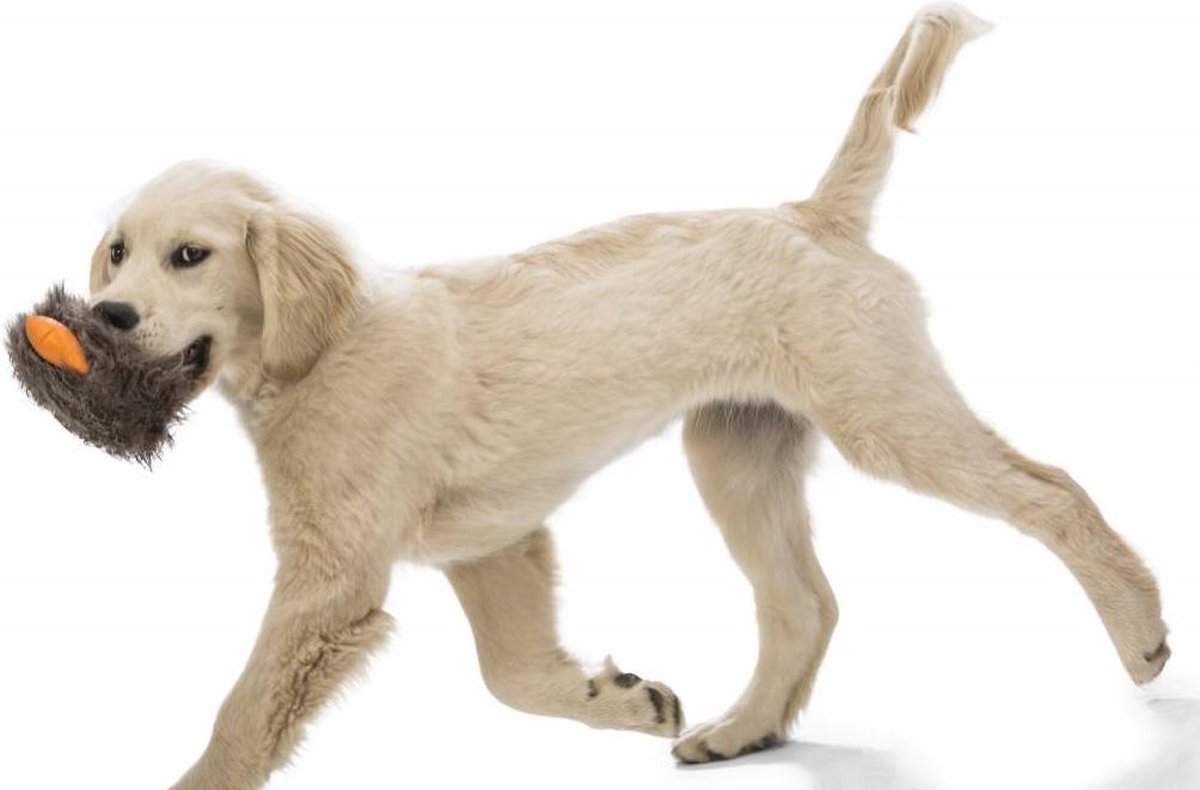 Sterk Puppy Speelgoed Rosebud Sterk Puppy Speelgoed Rosebud