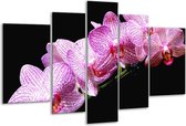 Glasschilderij Orchidee - Paars, Wit, Zwart - 170x100cm 5Luik - Foto Op Glas - Geen Acrylglas Schilderij - 6000+ Glasschilderijen Collectie - Wanddecoratie