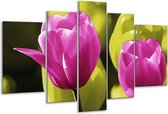 Glasschilderij Tulp - Roze, Groen, Zwart - 170x100cm 5Luik - Foto Op Glas - Geen Acrylglas Schilderij - 6000+ Glasschilderijen Collectie - Wanddecoratie