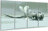 GroepArt - Glasschilderij - Roos - Grijs, Wit - 160x80cm 4Luik - Foto Op Glas - Geen Acrylglas Schilderij - 6000+ Glasschilderijen Collectie - Wanddecoratie