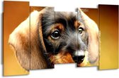 GroepArt - Canvas Schilderij - Hond - Bruin, Geel, Zwart - 150x80cm 5Luik- Groot Collectie Schilderijen Op Canvas En Wanddecoraties