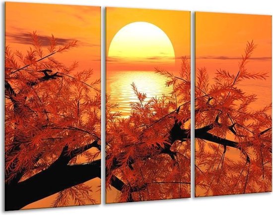 Glasschilderij Natuur | Oranje, Geel, Zwart | | Foto print op Glas |  F003979