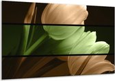 Glasschilderij Tulp - Groen, Bruin, Zwart - 120x70cm 1Luik - Foto Op Glas - Geen Acrylglas Schilderij - GroepArt 6000+ Glasschilderijen Art Collectie - Wanddecoratie - Woonkamer - Slaapkamer