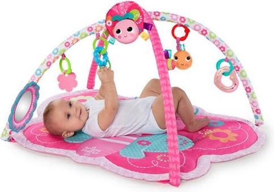 Butterfly play gym hotsell