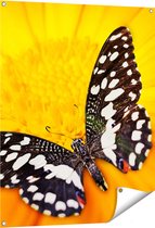Gards Tuinposter Vlinder op een Oranje Bloem - 80x100 cm - Tuindoek - Tuindecoratie - Wanddecoratie buiten - Tuinschilderij