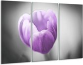 Peinture sur toile Tulipe | Violet, gris, blanc | 120x80cm 3 Liège