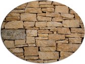 Dibond Ovaal - Bruine Stenen Muur - 80x60 cm Foto op Ovaal (Met Ophangsysteem)
