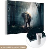 Peinture sur verre éléphant - Animaux sauvages - Forêt - Nature - Décoration murale sur verre - Décoration d'intérieur - 150x100 cm - Peinture sur verre - Décoration murale chambre - Plaque de verre