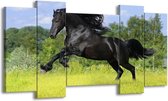 GroepArt - Schilderij - Paard - Zwart, Groen, Blauw - 120x65 5Luik - Foto Op Canvas - GroepArt 6000+ Schilderijen 0p Canvas Art Collectie - Wanddecoratie
