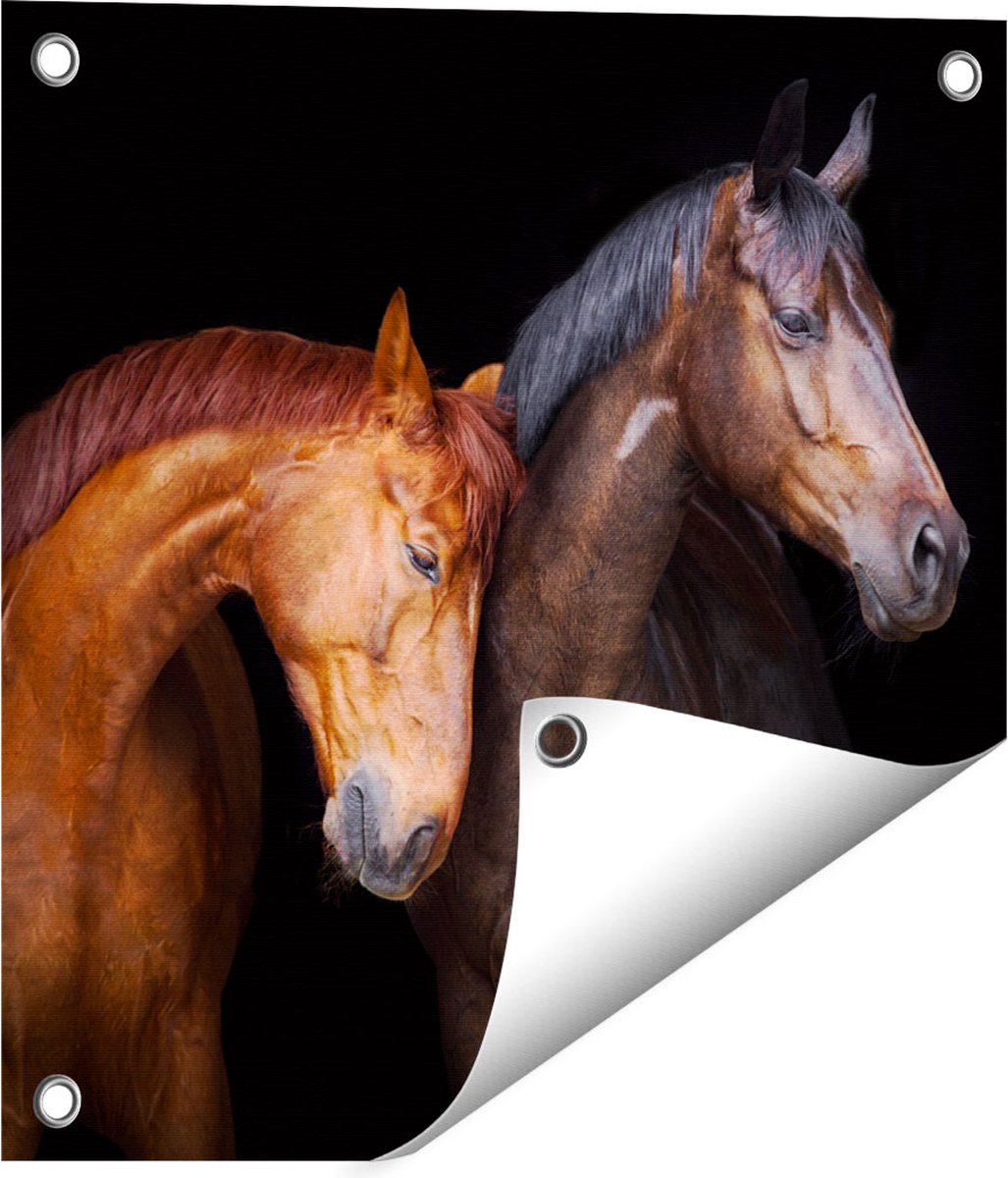 Gards Tuinposter Twee Bruine Paarden Koppel - Liefde - 40x40 cm - Tuindoek - Tuindecoratie - Wanddecoratie buiten - Tuinschilderij Multikleur