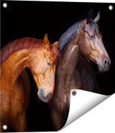 Gards Tuinposter Twee Bruine Paarden Koppel - Liefde - 50x50 cm - Tuindoek - Tuindecoratie - Wanddecoratie buiten - Tuinschilderij