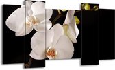 GroepArt - Schilderij - Orchidee - Wit, Zwart - 120x65 5Luik - Foto Op Canvas - GroepArt 6000+ Schilderijen 0p Canvas Art Collectie - Wanddecoratie