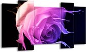 GroepArt - Schilderij - Roos - Paars, Roze, Zwart - 120x65 5Luik - Foto Op Canvas - GroepArt 6000+ Schilderijen 0p Canvas Art Collectie - Wanddecoratie