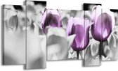 GroepArt - Schilderij - Tulpen - Paars, Grijs, Wit - 120x65 5Luik - Foto Op Canvas - GroepArt 6000+ Schilderijen 0p Canvas Art Collectie - Wanddecoratie