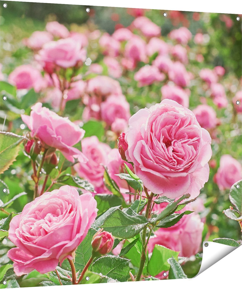 Gards Tuinposter Roze Rozen Bloemenveld - 120x120 cm - Tuindoek - Tuindecoratie - Wanddecoratie buiten - Tuinschilderij Multikleur