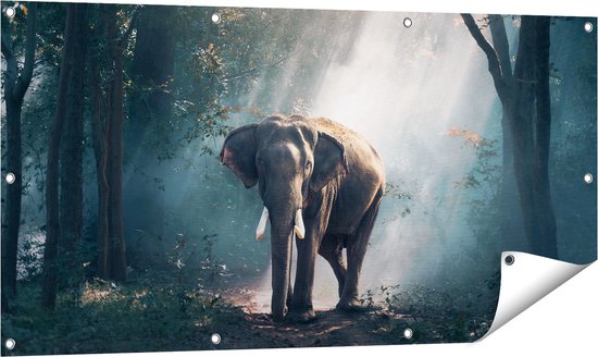 Gards Tuinposter Olifant in het Bos - 60x80 cm - Tuindoek
