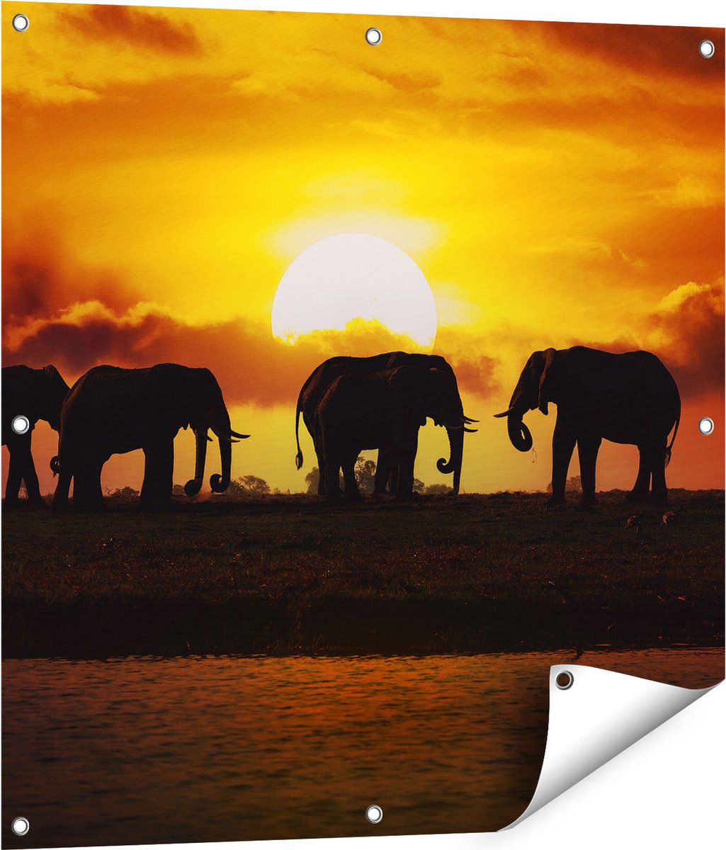 Gards Tuinposter Silhouet Olifanten tijdens Zonsondergang - 80x80 cm - Tuindoek - Tuindecoratie - Wanddecoratie buiten - Tuinschilderij Multikleur