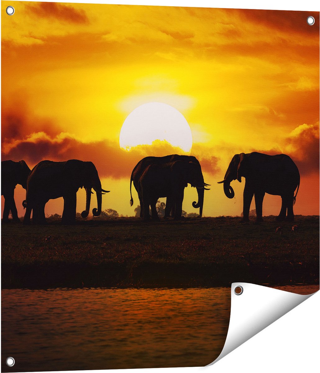 Gards Tuinposter Silhouet Olifanten tijdens Zonsondergang - 70x70 cm - Tuindoek - Tuindecoratie - Wanddecoratie buiten - Tuinschilderij Multikleur