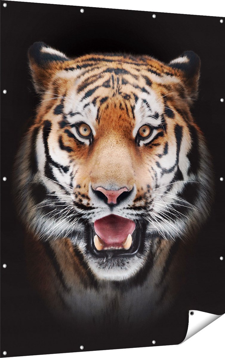 Gards Tuinposter Tijgerkop - Tijger - 120x160 cm - Tuindoek - Tuindecoratie - Wanddecoratie buiten - Tuinschilderij Multikleur