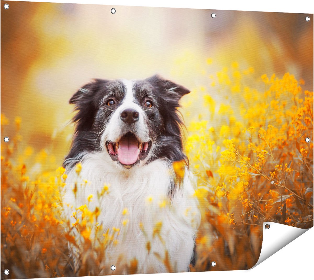Gards Tuinposter Blije Hond tussen de Bloemen - 120x90 cm - Tuindoek - Tuindecoratie - Wanddecoratie buiten - Tuinschilderij Multikleur