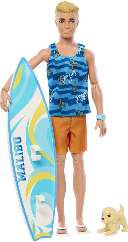 Barbie Ken Surf + Accy Pop Multicolore