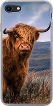 Geschikt voor iPhone SE 2020 hoesje - Schotse Hooglander - Berg - Water - Natuur - Koe - Siliconen Telefoonhoesje