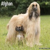 Afghan - Afghanen 2020