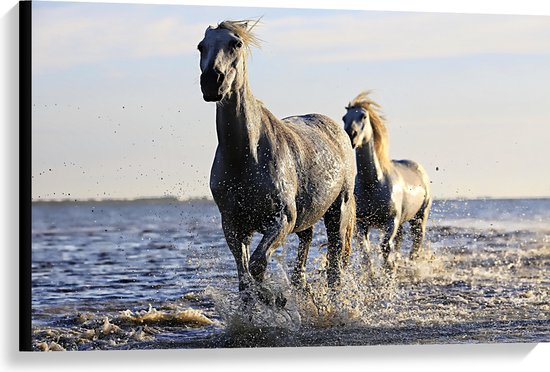 Canvas - Rennende Paarden door het Lage Zeewater - 90x60 cm Foto op Canvas Schilderij (Wanddecoratie op Canvas)