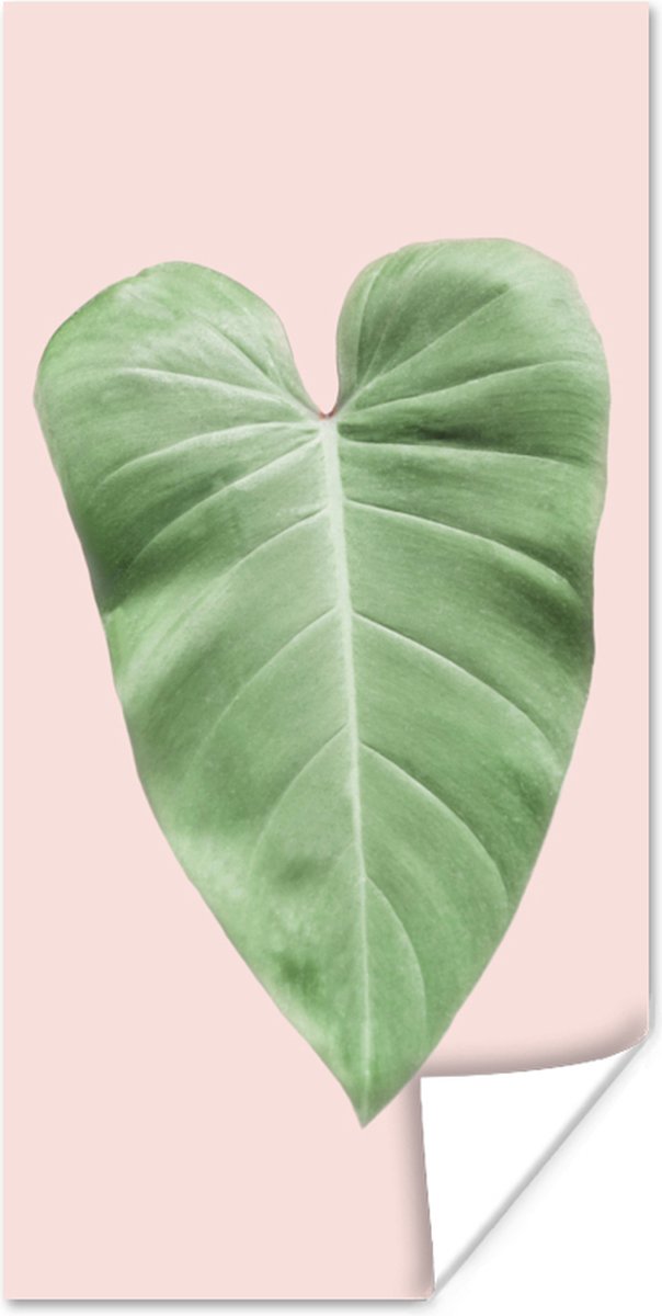 Poster Blad - Groen - Natuur - Roze - 75x150 cm