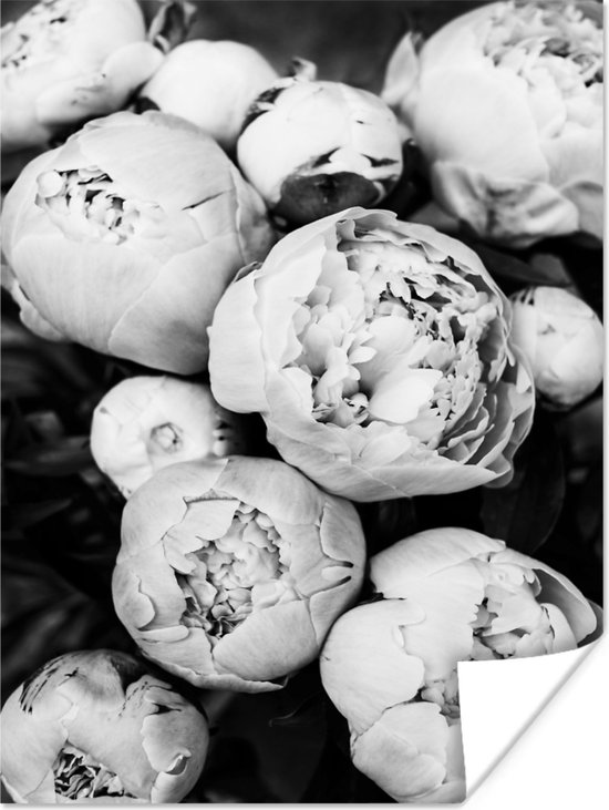 Poster Bloemen - Wit - Natuur - Zwart wit - 30x40 cm