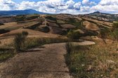 Tuscany Road