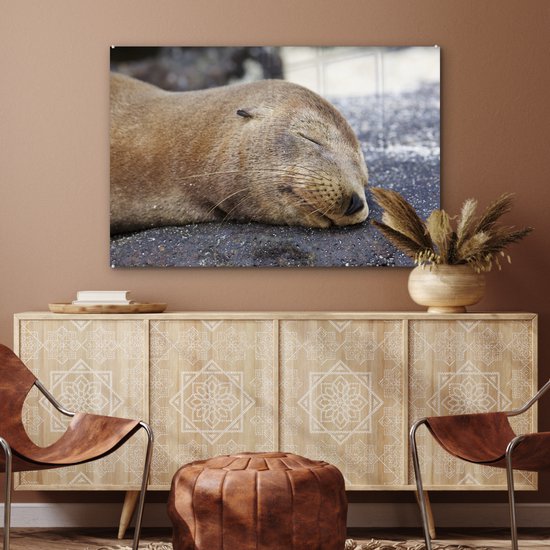 Peinture sur Verre - Gros plan - Animaux - Pierres - 120x80 cm - Peintures sur Verre Peintures - Photo sur Glas