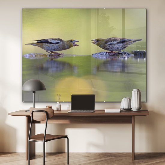 MuchoWow® Peinture sur verre 160x120 cm - Peinture sur verre acrylique - Bain d'oiseaux - Vogel - Water - Photo sur verre - Peintures