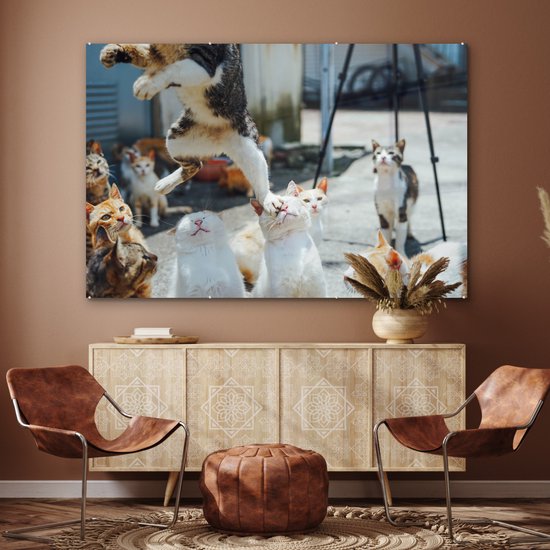 ® Glasschilderij 180x120 cm - Schilderij acrylglas - Komische kat die over andere katten heen springt - Foto op glas - Muurdecoratie woonkamer - Wanddecoratie slaapkamer - Schilderijen