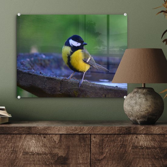 MuchoWow® Peinture sur verre 40x30 cm - Peinture sur verre acrylique - Mésange charbonnière sur un bain d'oiseaux en granit - Photo sur verre - Peintures