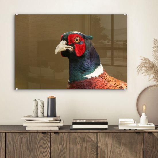 Un gros plan d'un faisan coloré en plexiglas 60x40 cm - Tirage photo sur Glas (décoration murale en plexiglas)
