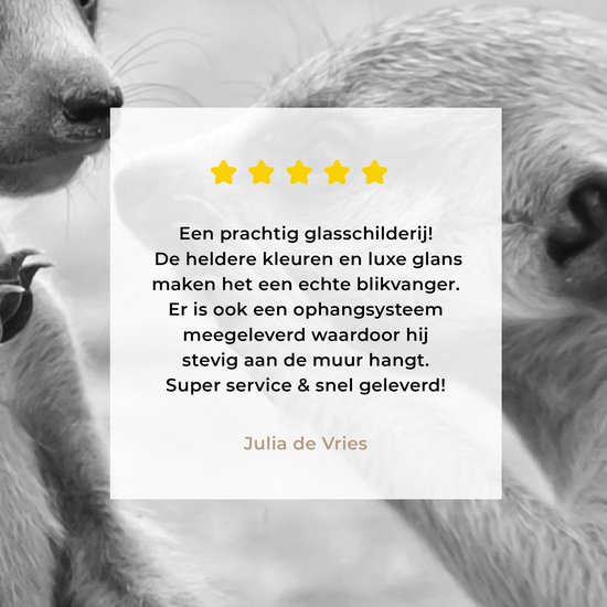 MuchoWow® Peinture sur verre 120x80 cm - Peinture acrylique sur verre - Deux suricates - noir et blanc - Photo sur verre - Peintures