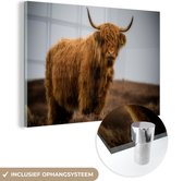 MuchoWow® Peinture sur verre 150x100 cm - Peinture sur verre acrylique - Highlander écossais - Dune - Herbe - Photo sur verre - Peintures