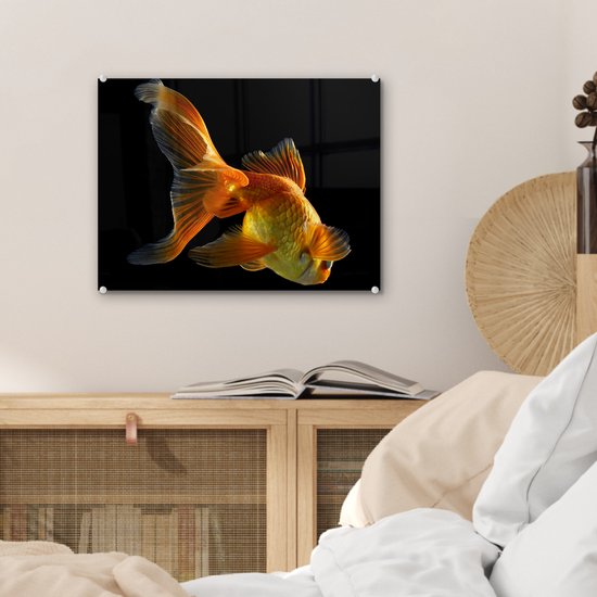 MuchoWow® Peinture sur verre 40x30 cm - Peinture sur verre acrylique - Poisson rouge - Animaux - Zwart - Photo sur verre - Peintures