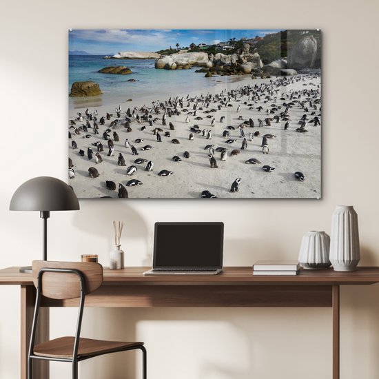 Een groep pinguïns op een zandstrand bij de oceaan, met rotsen en huizen op de achtergrond.