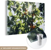 MuchoWow® Glasschilderij 150x100 cm - Schilderij acrylglas - Fruitbomen - Pruim - Zon - Foto op glas - Schilderijen