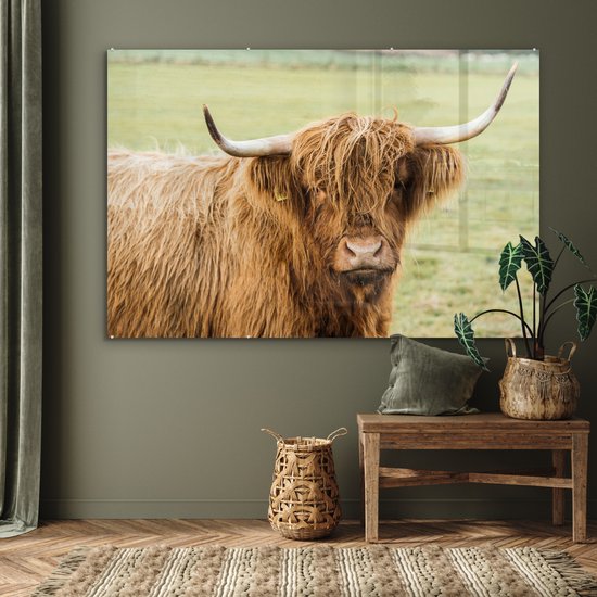 MuchoWow® Glasschilderij 180x120 cm - Schilderij acrylglas - Schotse hooglander - Hoorn - Gras - Foto op glas - Schilderijen