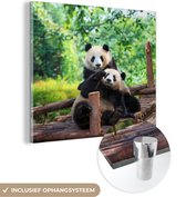 MuchoWow® Glasschilderij 50x50 cm - Schilderij acrylglas - Panda - Brug - Natuur - Foto op glas - Schilderijen
