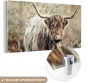 Glasschilderij van een Schotse Hooglander inclusief ophangsysteem in glanzend chroom.